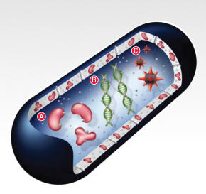 biocote-microbe image