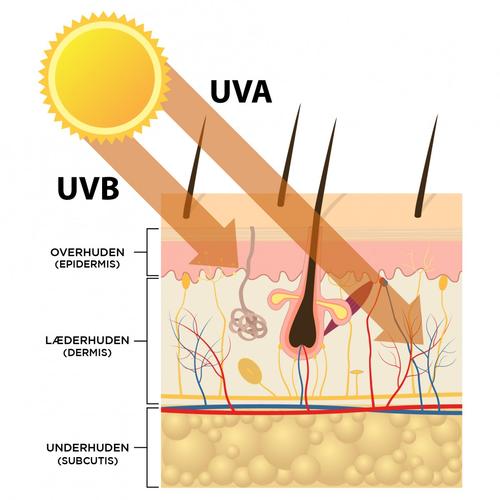huden og uv-stråler