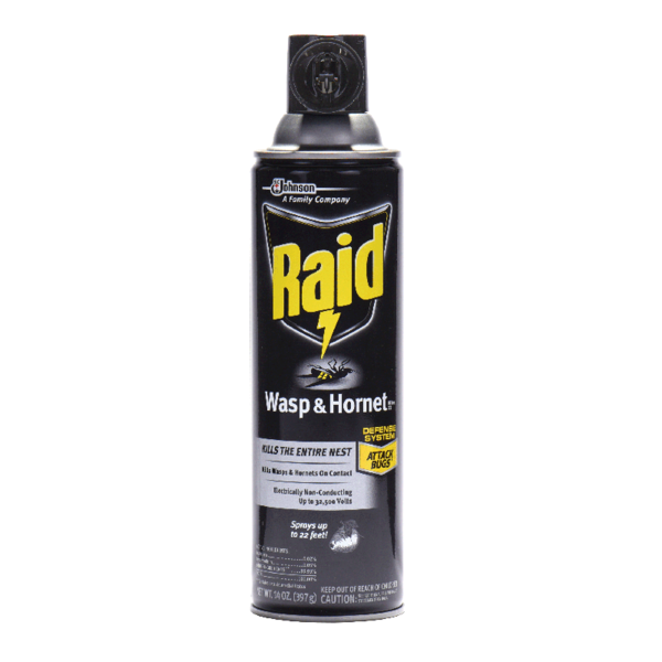 Raid Wasp and Hornet Spray 14 ounce aerosol can