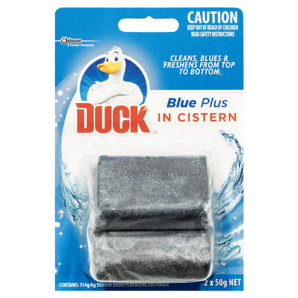 Duck In Cistern 70957