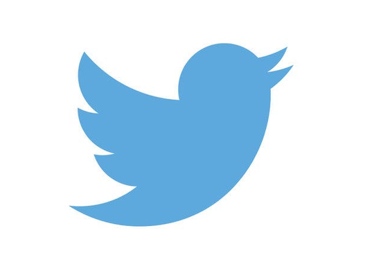 Twitter Logo for Resources page