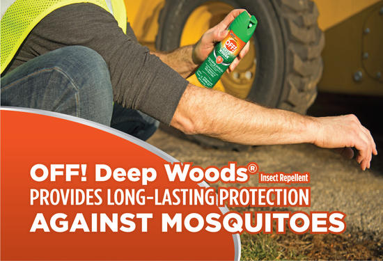 Mosquito Day article image